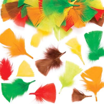 Plumes d'Automne - 120 Plumes Naturelles pour Arts Créatifs Plumes d'Automne - 120 Plumes Naturelles pour Arts Créatifs