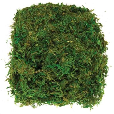 Baker Ross AV898 Naturlig Dekorativ Moss - 100g - Hantverk Baker Ross AV898 Naturlig Dekorativ Moss - 100g - Hantverk