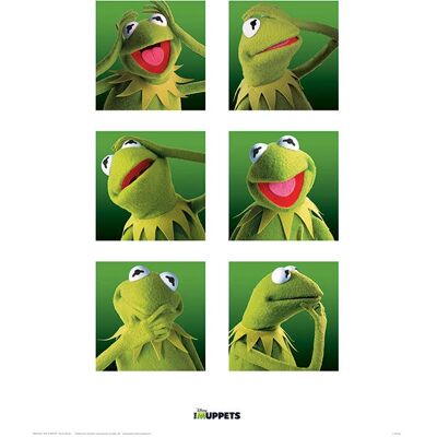 Pyramid International Kermit Boxes Poster - Poster Pyramid International Kermit Boxes Poster - Poster