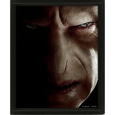Pyramid International Harry Vs Voldemort 3D Poster - Wanddekoration Pyramid International Harry Vs Voldemort 3D Poster - Wanddekoration
