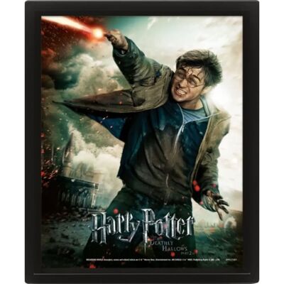 Harry Potter Expelliarmus 3D Pyramid - Picture Frame Harry Potter Expelliarmus 3D Pyramid - Picture Frame