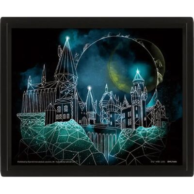 Pyramid International Harry Potter Geometrisches Hogwarts Wandkunst - BM-205578 Pyramid International Harry Potter Geometrisches Hogwarts Wandkunst - BM-205578