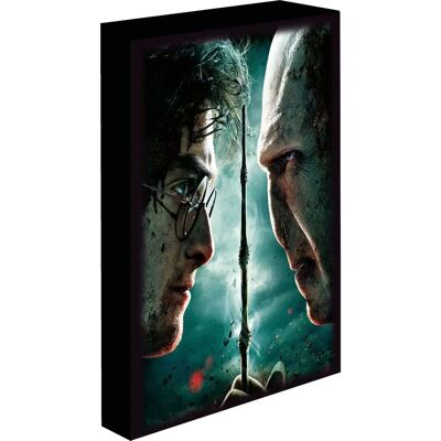 Harry Potter Plátno na zeď s LED - 30x40cm - Oficiální licence Harry Potter Plátno na zeď s LED - 30x40cm - Oficiální licence