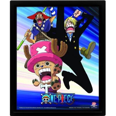 Pyramid International Straw Hat Pirates 3D Lenticular Poster - Poster Pyramid International Straw Hat Pirates 3D Lenticular Poster - Poster