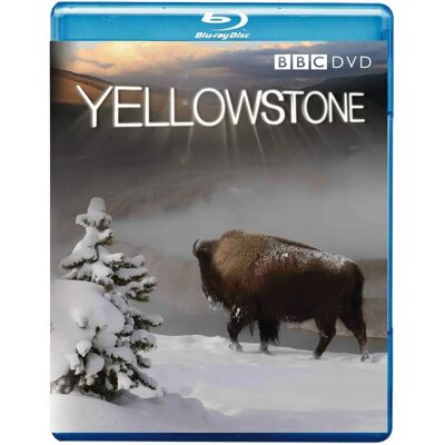 Yellowstone Tales from the Wild Blu-ray - Blu-ray - Publicité Yellowstone Tales from the Wild Blu-ray - Blu-ray - Publicité