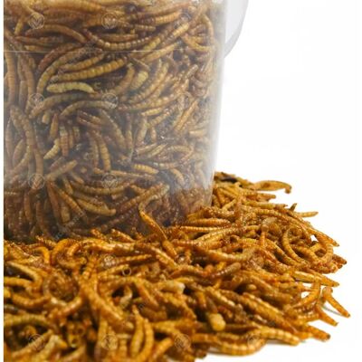 GardenersDream GardenersDream Dried Mealworms - 5L - dried - Animal feed GardenersDream GardenersDream Dried Mealworms - 5L - dried - Animal feed