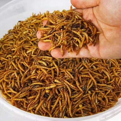 Gardeners Dream - Dried Mealworms - 10kg - Bird Food Gardeners Dream - Dried Mealworms - 10kg - Bird Food