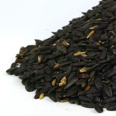 GardenersDream - Black Oil Sunflower Seeds - Bird Food - Publicité GardenersDream - Black Oil Sunflower Seeds - Bird Food - Publicité