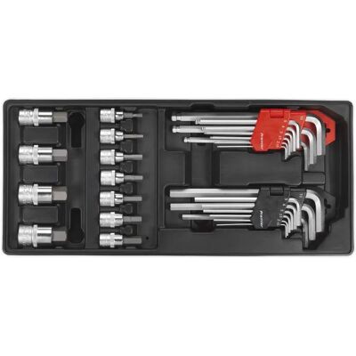 Sealey TBT07 Tool Tray - 29pc Hex & Socket Set for Professional Use Sealey TBT07 Tool Tray - 29pc Hex & Socket Set for Professional Use