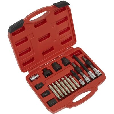 Set de îndepărtare a volantului liber al alternatorului Sealey SX402 - 18 bucăți Set de îndepărtare a volantului liber al alternatorului Sealey SX402 - 18 bucăți