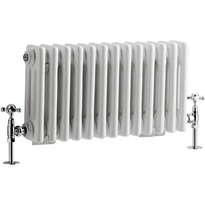 Radiatore Regent Hudson Reed - Stile Classico in Ghisa - 525W - 300x605mm Radiatore Regent Hudson Reed - Stile Classico in Ghisa - 525W - 300x605mm