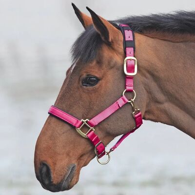 Shires Topaz Halsung - Nylon, Himbeere, Voll - Reitsportausrüstung Shires Topaz Halsung - Nylon, Himbeere, Voll - Reitsportausrüstung