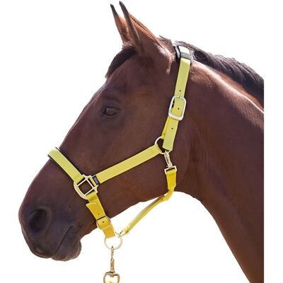 Shires Topaz Nylon Halfter - Halfter, Gelb, Voll Shires Topaz Nylon Halfter - Halfter, Gelb, Voll