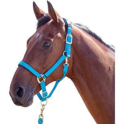 Shires Topaz Nylon Halfter Blau - Extra Full Shires Topaz Nylon Halfter Blau - Extra Full