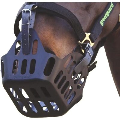 Shires Greenguard Maulkorb Schwarz | Cob Shires Greenguard Maulkorb Schwarz | Cob