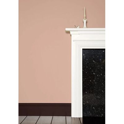 Farrow & Ball Dead Salmon No.28 Exterior Eggshell - 750ml Farrow & Ball Dead Salmon No.28 Exterior Eggshell - 750ml