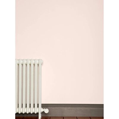 Farrow & Ball Pink Ground No.202 Eggshell Paint - 750ml Farrow & Ball Pink Ground No.202 Eggshell Paint - 750ml