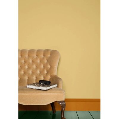 Farrow & Ball Hay No.37 Eggshell - 5L Interior Paint Farrow & Ball Hay No.37 Eggshell - 5L Interior Paint
