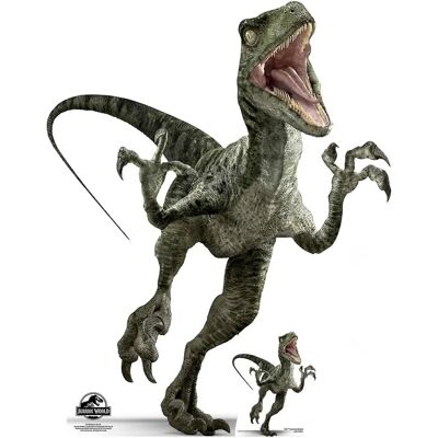 Jurassic World Velociraptor Charlie Lifesize Cardboard Standee Jurassic World Velociraptor Charlie Lifesize Cardboard Standee