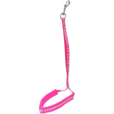 Groom Professional Allon Basic Rosa Hundlina - Hundvårdskoppel Groom Professional Allon Basic Rosa Hundlina - Hundvårdskoppel