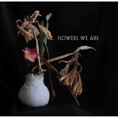 KlangGalerie Flowers - Elegant Arrangement - Flowers KlangGalerie Flowers - Elegant Arrangement - Flowers