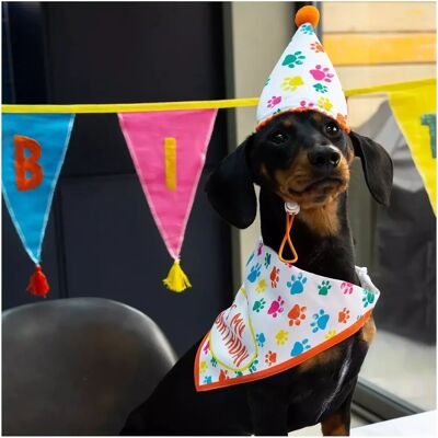 Talking Tables Dog Birthday Hat & Bandana Set - Pet Accessory Talking Tables Dog Birthday Hat & Bandana Set - Pet Accessory