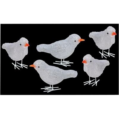 Oiseaux en acrylique Premier Decorations - Ensemble de 5 - Fonctionne sur secteur - Publicité Oiseaux en acrylique Premier Decorations - Ensemble de 5 - Fonctionne sur secteur - Publicité