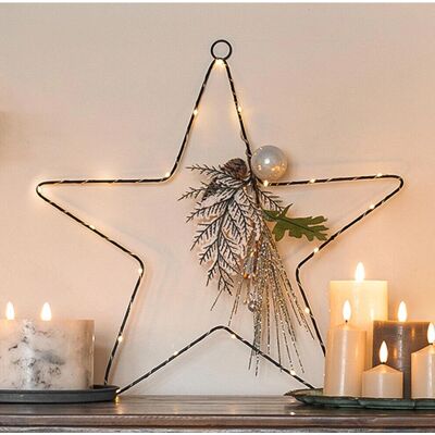 Premier - 50cm Hanging LED Star - Silver Berry - Decor Premier - 50cm Hanging LED Star - Silver Berry - Decor