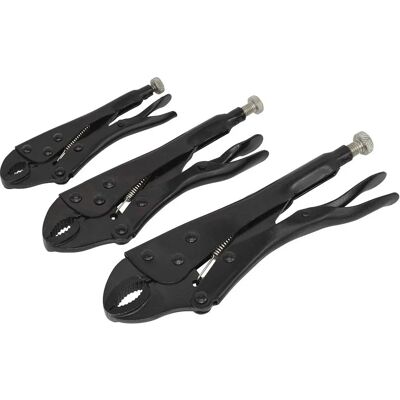 Set de pensete de prindere Sealey AK668 - Rezistent la rugină - 3 bucăți Set de pensete de prindere Sealey AK668 - Rezistent la rugină - 3 bucăți