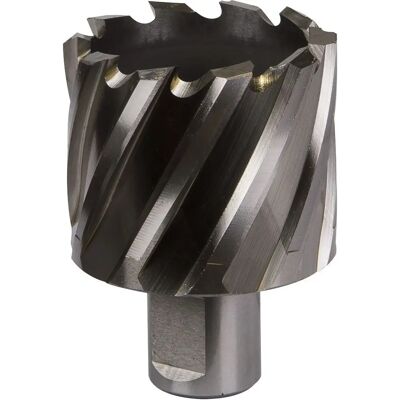 Coupeur rotabor HSS 45mm Worksafe RBHSS45S - Profondeur de coupe 25mm - Publicité Coupeur rotabor HSS 45mm Worksafe RBHSS45S - Profondeur de coupe 25mm - Publicité