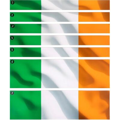 Pack di grafiche per cassetta degli attrezzi Sealey APTBG04 - Irlanda Pack di grafiche per cassetta degli attrezzi Sealey APTBG04 - Irlanda