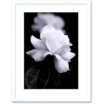 Artery8 - Photo Nature - Rose - Petal - Framed Wall Art Artery8 - Photo Nature - Rose - Petal - Framed Wall Art