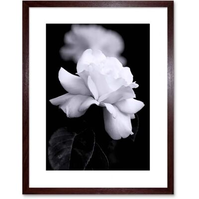 Artery8 - Photo Nature Rose Petal - Wall Art Print Artery8 - Photo Nature Rose Petal - Wall Art Print
