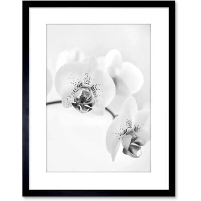 Artery8 - Orchid Flower - Black White - Wall Art Artery8 - Orchid Flower - Black White - Wall Art