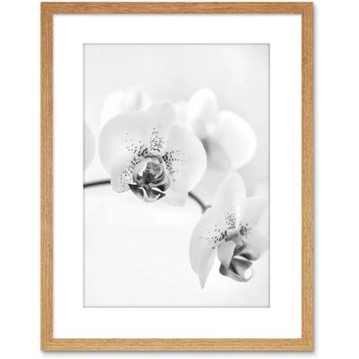 Artery8 - Orchid Flower - 9X7 - Light Oak - Wall Art Print Artery8 - Orchid Flower - 9X7 - Light Oak - Wall Art Print