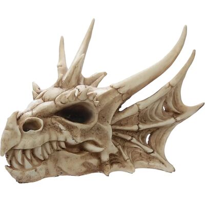 Puckator Dragon Skull Decoration - Collectible Decorative Figurine Puckator Dragon Skull Decoration - Collectible Decorative Figurine