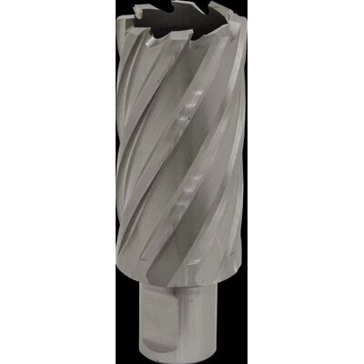 Worksafe RBHSS31L Rotabor Cutter - 50mm Depth - Ø31mm Worksafe RBHSS31L Rotabor Cutter - 50mm Depth - Ø31mm