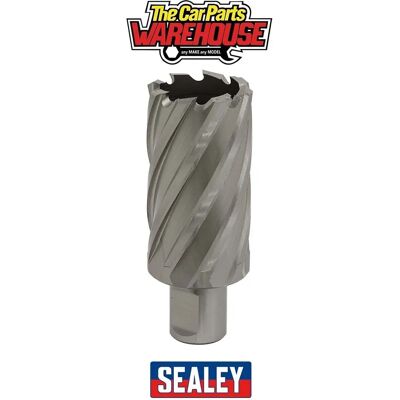 Worksafe RBHSS34L Rotabor Cutter - Ø34mm - 50mm Deep - Rotabor Cutter Worksafe RBHSS34L Rotabor Cutter - Ø34mm - 50mm Deep - Rotabor Cutter