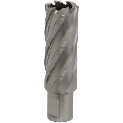 Worksafe Rotabor Cutter 24mm - Cut Depth 50mm - Rotabor Cutter Worksafe Rotabor Cutter 24mm - Cut Depth 50mm - Rotabor Cutter