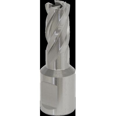 Worksafe RBHSS14S Rotabor Cutter HSS Ø14mm - Cut Depth 25mm Worksafe RBHSS14S Rotabor Cutter HSS Ø14mm - Cut Depth 25mm