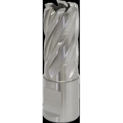 Worksafe RBHSS17S Rotabor Cutter - 17mm HSS, 25mm Depth Worksafe RBHSS17S Rotabor Cutter - 17mm HSS, 25mm Depth