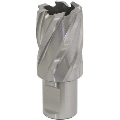 Coupe-rotabor Worksafe RBHSS25S - Profondeur 25mm - Publicité Coupe-rotabor Worksafe RBHSS25S - Profondeur 25mm - Publicité