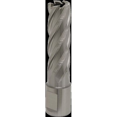 Worksafe RBHSS17L Rotabor Cutter - 17mm, 50mm Deep - HSS Drill Bit Worksafe RBHSS17L Rotabor Cutter - 17mm, 50mm Deep - HSS Drill Bit