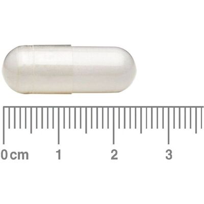 Lamberts L-Tyrosine 500mg - Apoio cognitivo Lamberts L-Tyrosine 500mg - Apoio cognitivo