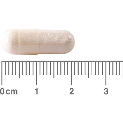 Lamberts Taurin 500mg Kapseln - Nahrungsergänzung Lamberts Taurin 500mg Kapseln - Nahrungsergänzung