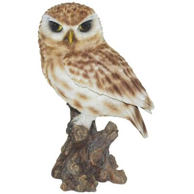 Vivid Arts Petit Hibou Réaliste - Statue/figurine Décorative - Publicité Vivid Arts Petit Hibou Réaliste - Statue/figurine Décorative - Publicité