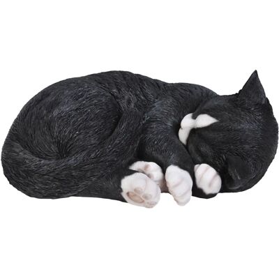 Vivid Arts - Real Life Sleeping Cat - Taille B - Figurine - Publicité Vivid Arts - Real Life Sleeping Cat - Taille B - Figurine - Publicité