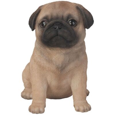 Vivid Arts - Pug Puppy - Marron - Résine - Statue décorative - Publicité Vivid Arts - Pug Puppy - Marron - Résine - Statue décorative - Publicité