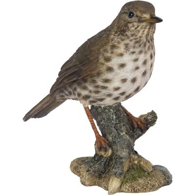 Vivid Arts - 1916.163 - Mehrfarbig - Song Thrush - Figurine Vivid Arts - 1916.163 - Mehrfarbig - Song Thrush - Figurine