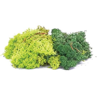Lichen Hornby R7194 - Mélange Vert - Accessoire pour Modélisme Lichen Hornby R7194 - Mélange Vert - Accessoire pour Modélisme